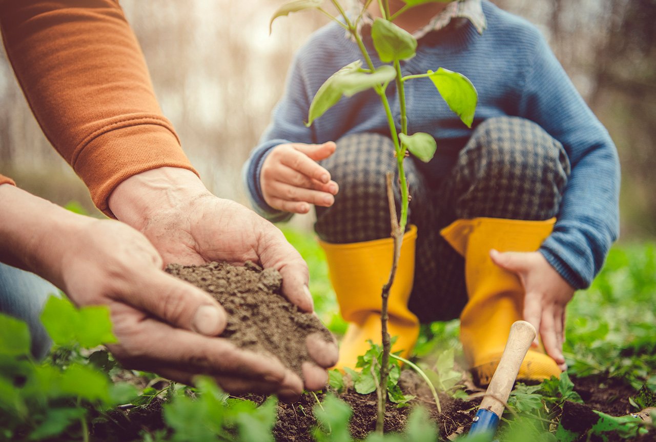 ハスキー社員はサステナビリティを実践します。木を植える母親と子供。