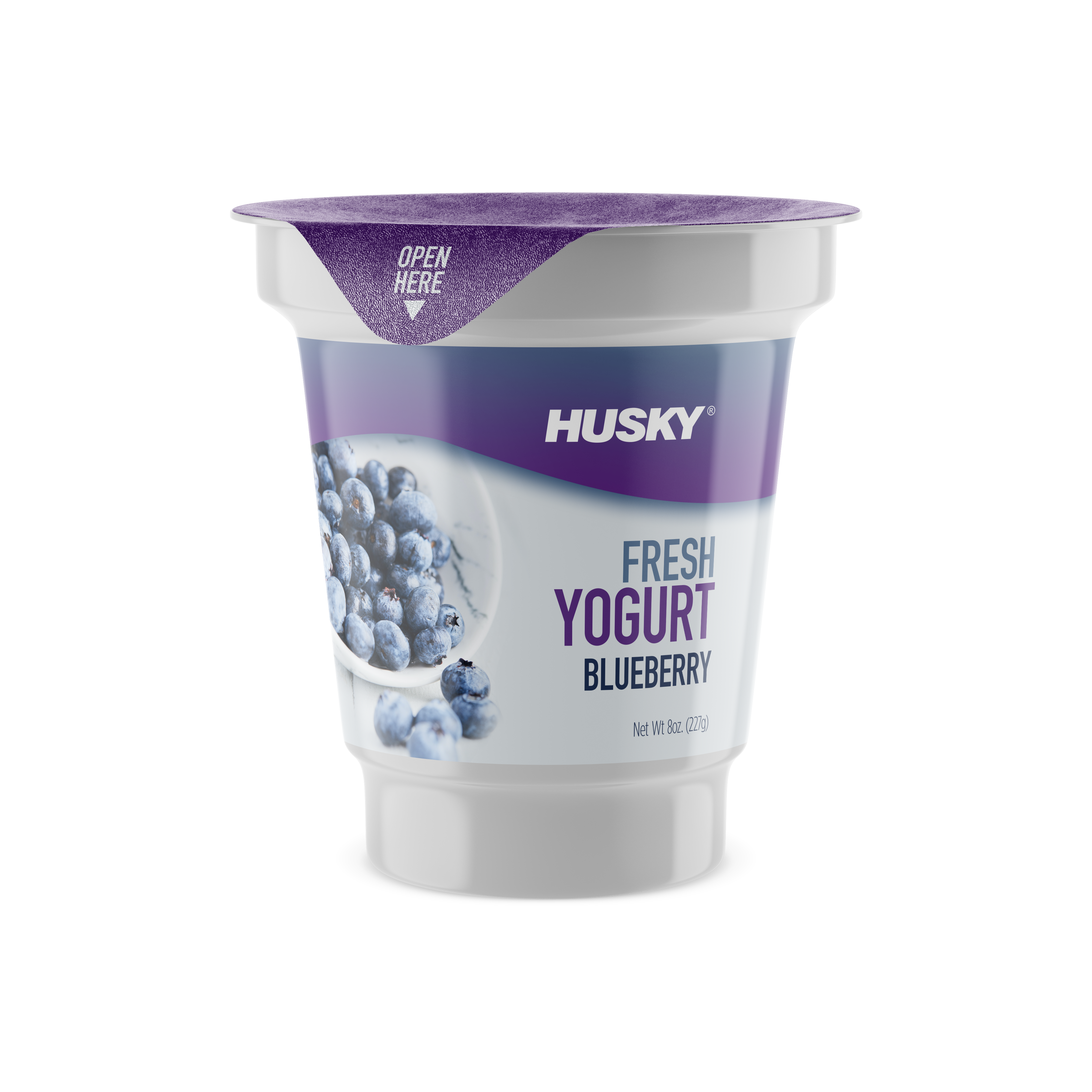 food_yogurt_cup_blueberry.png